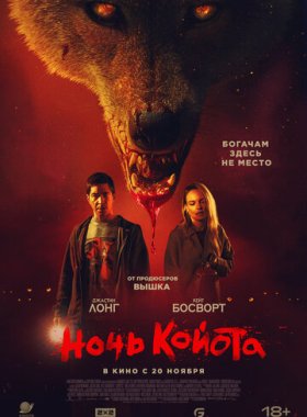 Ночь койота