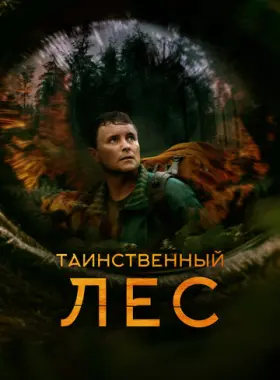 Кольцевая дорога