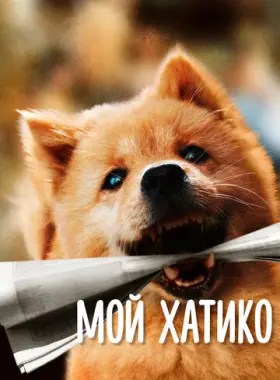 Мой Хатико