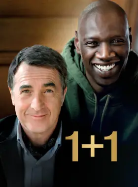 1+1