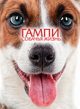 Гампи. Собачья жизнь