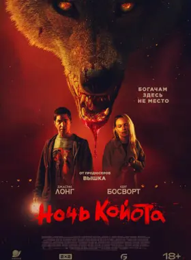 Ночь койота